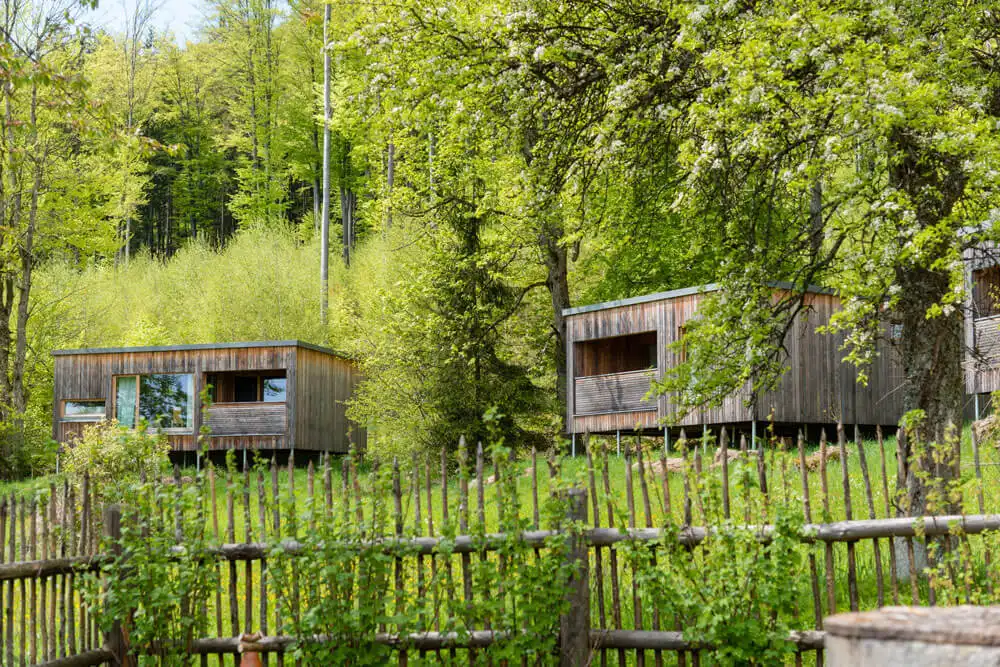 wiesnhaeusl-natur-wald-urlaub